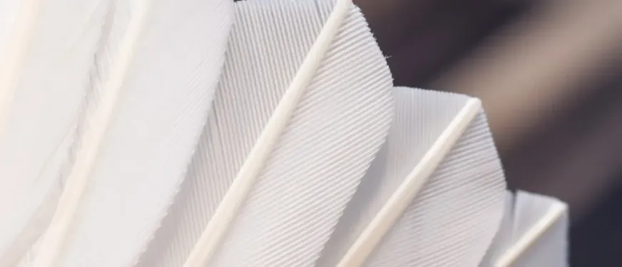 送人都不要？湖南夫妻靠它年入1个亿