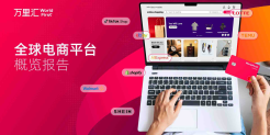 2025年全球电商平台概览报告