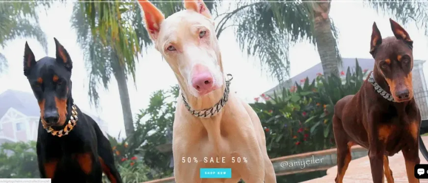 一条狗链卖400美元!Big Dog Chains如何打造宠物奢侈品帝国?