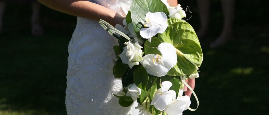 谁还卷婚纱?美国人21万婚礼费,40%砸向这些婚礼周边产品!