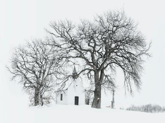 从糖类插画到圣诞主题：五起新版权案背后的侵权雷区