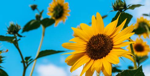 从CE到UL：跨境卖家如何跨越电暖产品认证壁垒