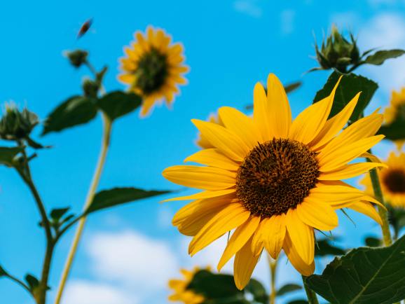 从CE到UL：跨境卖家如何跨越电暖产品认证壁垒