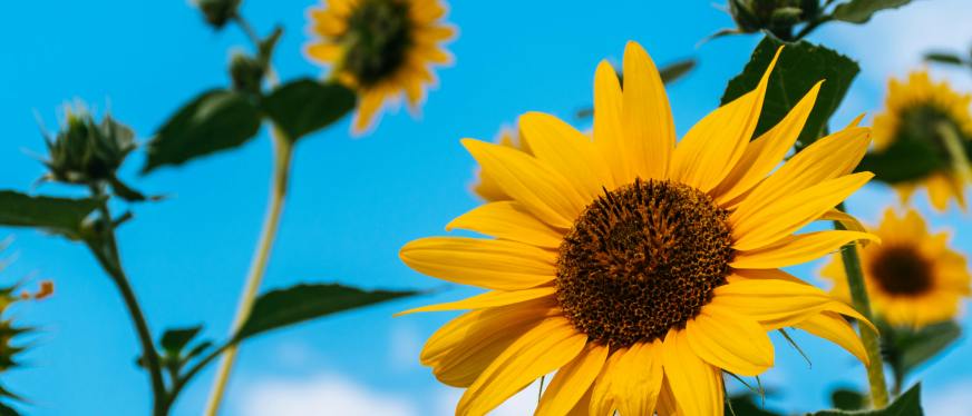 从CE到UL：跨境卖家如何跨越电暖产品认证壁垒