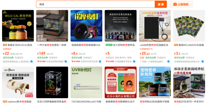 从蜥蜴到蛇类：疯狂动物城2引爆的爬宠经济新蓝海