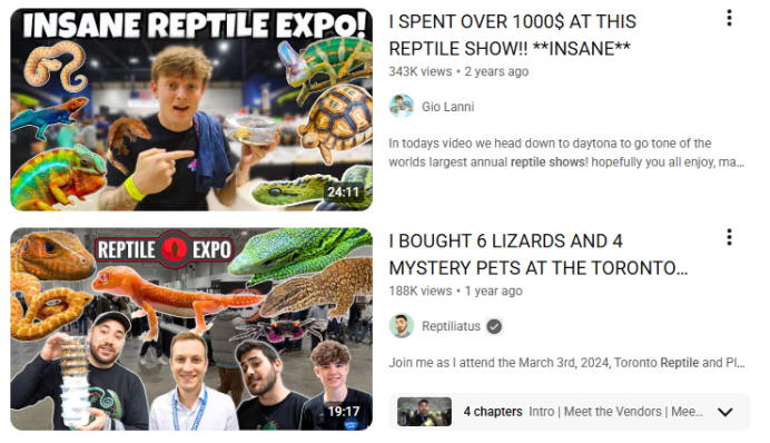 从蜥蜴到蛇类：疯狂动物城2引爆的爬宠经济新蓝海