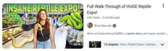 从蜥蜴到蛇类：疯狂动物城2引爆的爬宠经济新蓝海