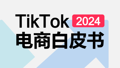 2024年TikTok电商白皮书