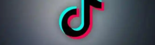 TikTok Shop 4PL平台怎么发货？4PL平台物流发货流程！