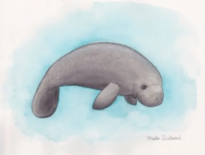 860家店铺被冻结！骷髅头、雪人、南瓜、猫狗、花卉等图案需慎用！