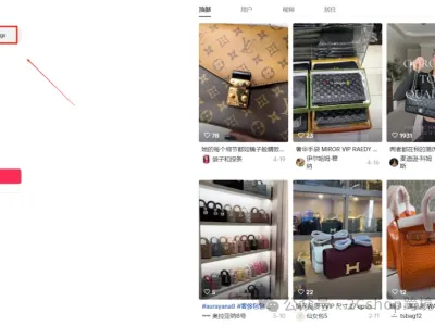 独立站同行在卖什么？流量从哪来？教你如何用TikTok与SimilarWeb快速摸透