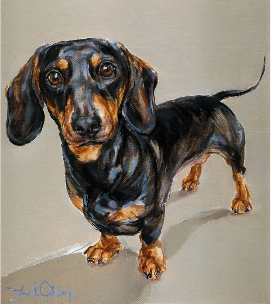 860家店铺被冻结！骷髅头、雪人、南瓜、猫狗、花卉等图案需慎用！