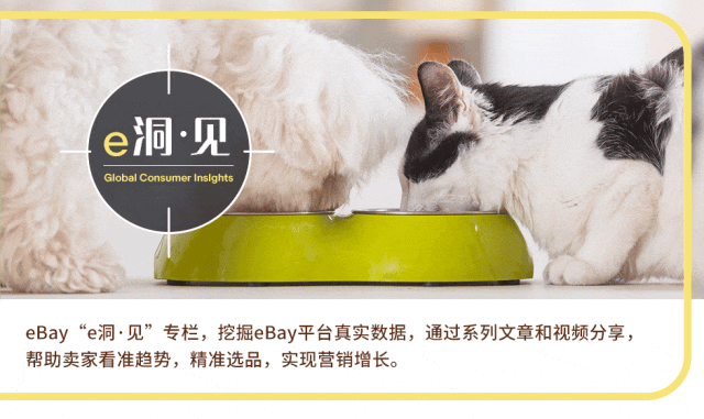 月出口额超1亿美元！宠物赛道中国卖家潜力无限！
