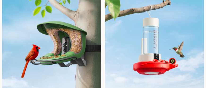 闲来观鸟、无事烧烤:两个冷门品类如何撬动千亿海外市场