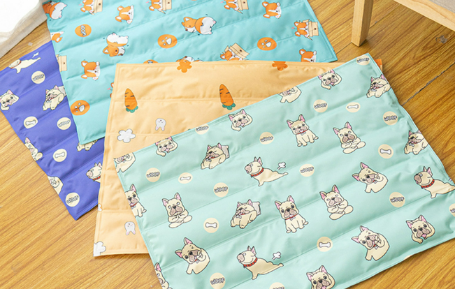 东南亚夏季的宠物经济学，跨境电商的季节性红利！