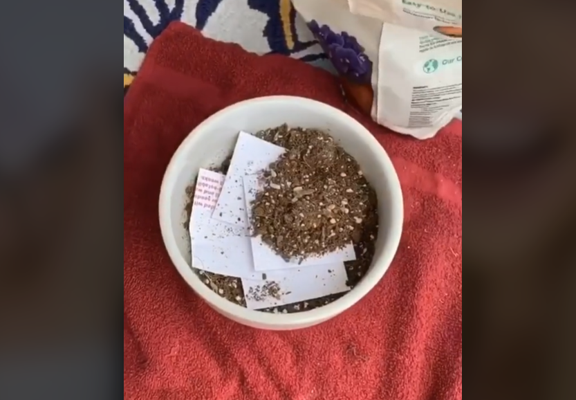 价格翻4000%，月销1万+单，小众明信片出海狂赚！