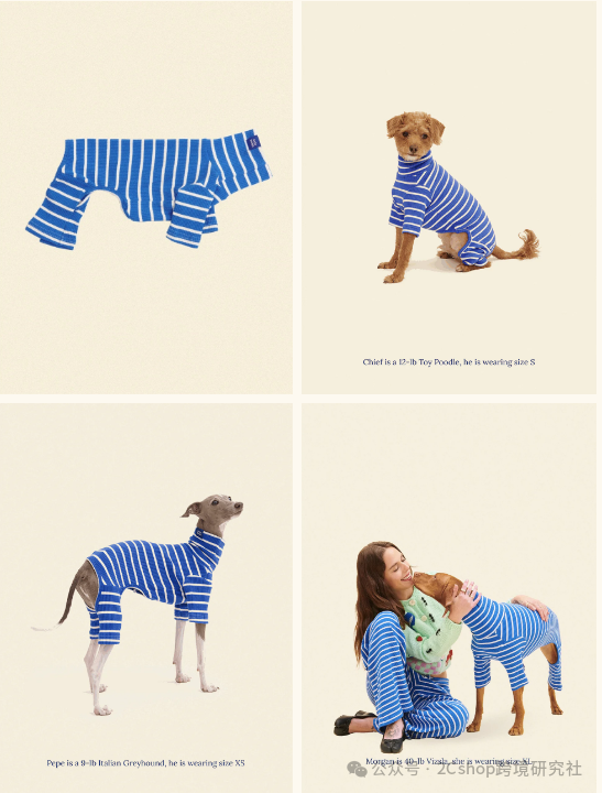 图片 把狗包卖到200美金,这个独立站只靠一个爆款