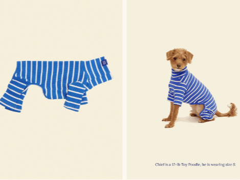 把狗包卖到200美金,这个独立站只靠一个爆款