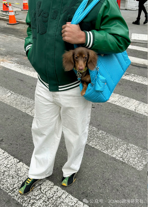 图片 把狗包卖到200美金,这个独立站只靠一个爆款