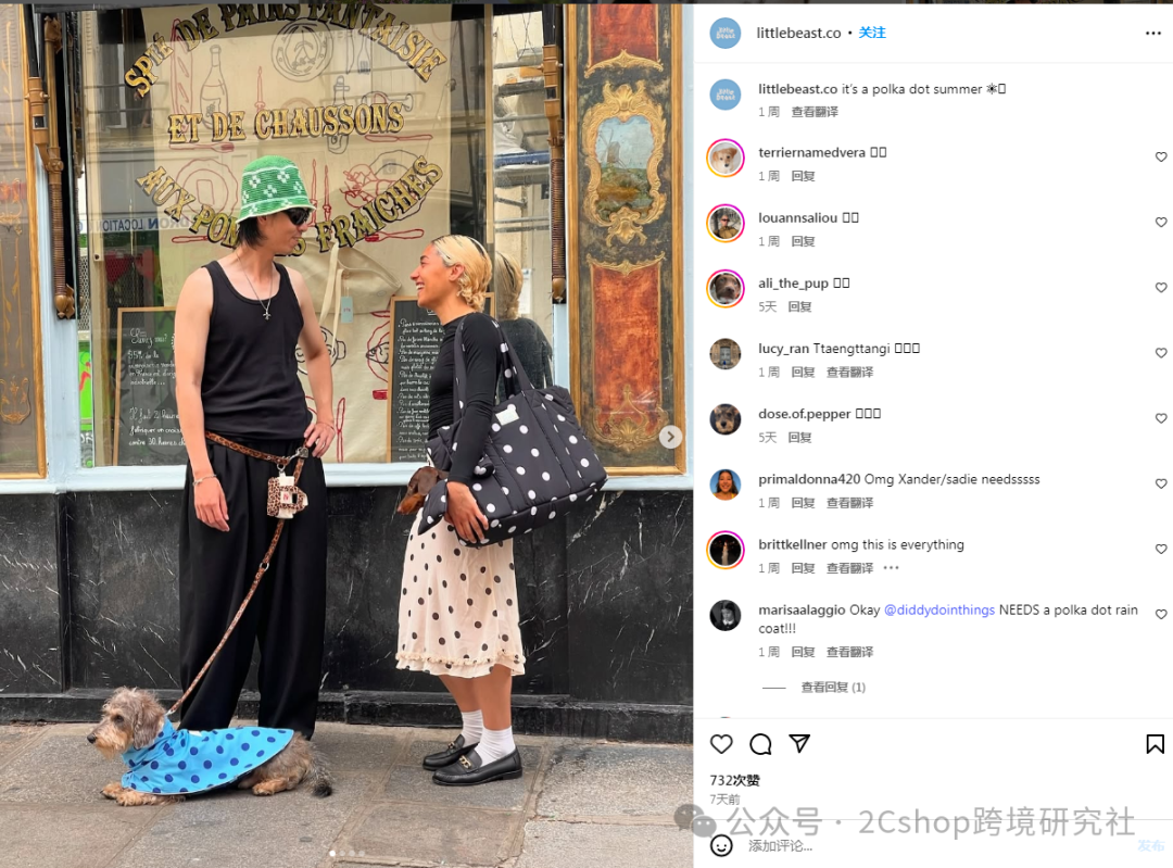 图片 把狗包卖到200美金,这个独立站只靠一个爆款