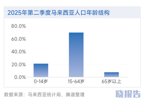 图片 马来西亚:为何成为中企出海东南亚首站?