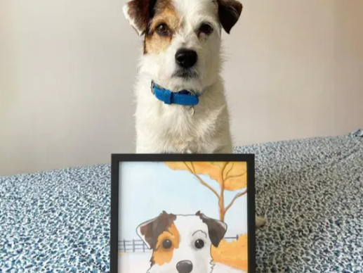 从几元到40美元：宠物肖像画的百倍溢价