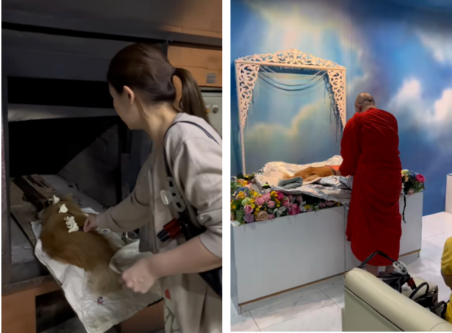 单品狂赚5000万！TikTok这些小众赛道正在疯狂吸金