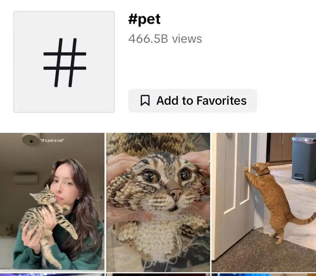 单品狂赚5000万！TikTok这些小众赛道正在疯狂吸金