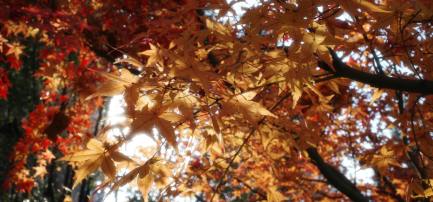 英国强制新规：电动自行车锂电池必须配备BMS系统防热失控