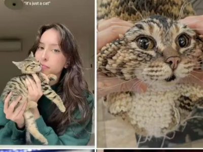 单品狂赚5000万！TikTok这些小众赛道正在疯狂吸金