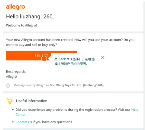 中国卖家如何入驻Allegro?平台注册流程、入驻资料及销售设置详解