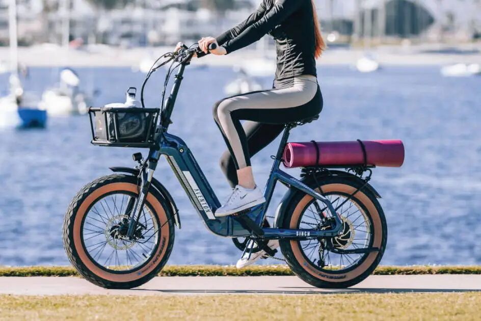 图片 年收破3亿,中国E-bike品牌拿下了北美中产