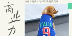 制造爆款狗衣，年销1.5亿，这个安徽男人被订单追着跑