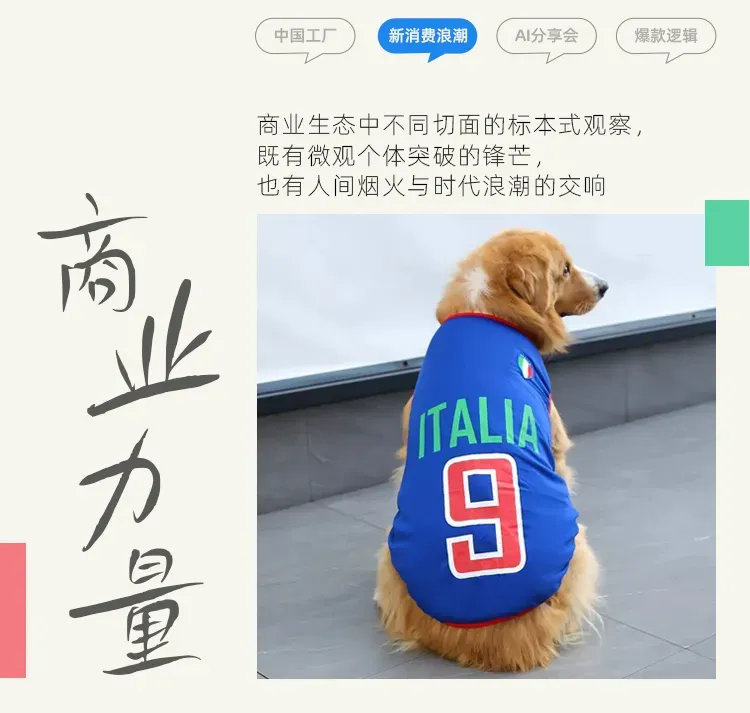 制造爆款狗衣,年销1.5亿,这个安徽男人被订单追着跑
