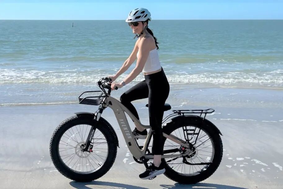 图片 年收破3亿,中国E-bike品牌拿下了北美中产