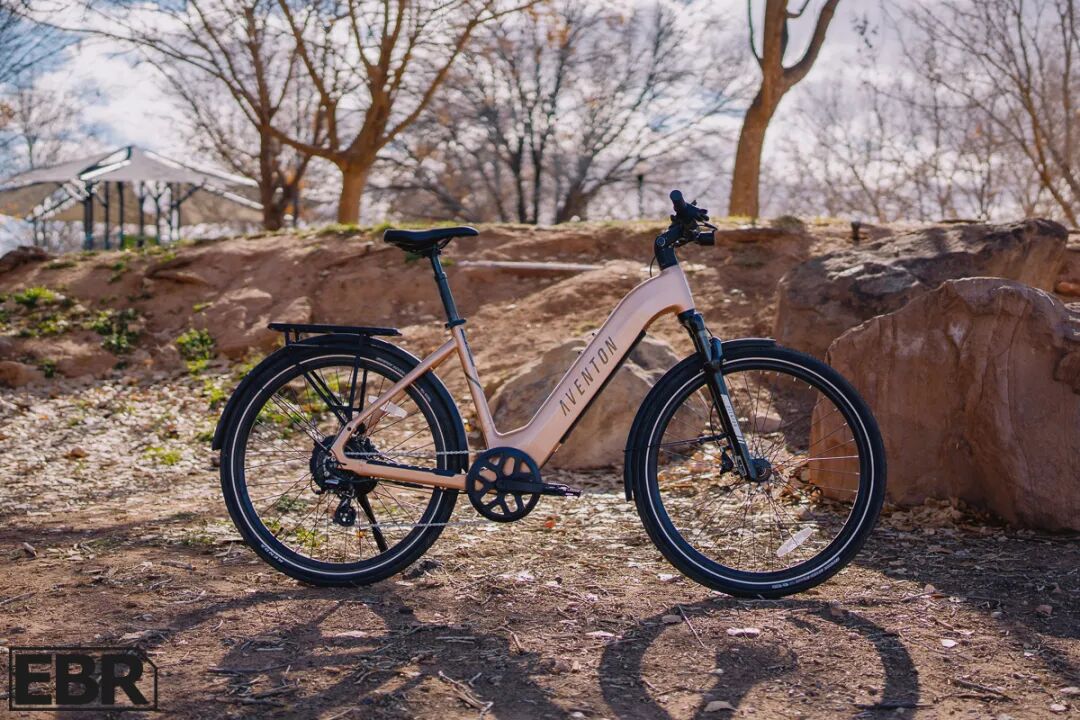 图片 年收破3亿,中国E-bike品牌拿下了北美中产