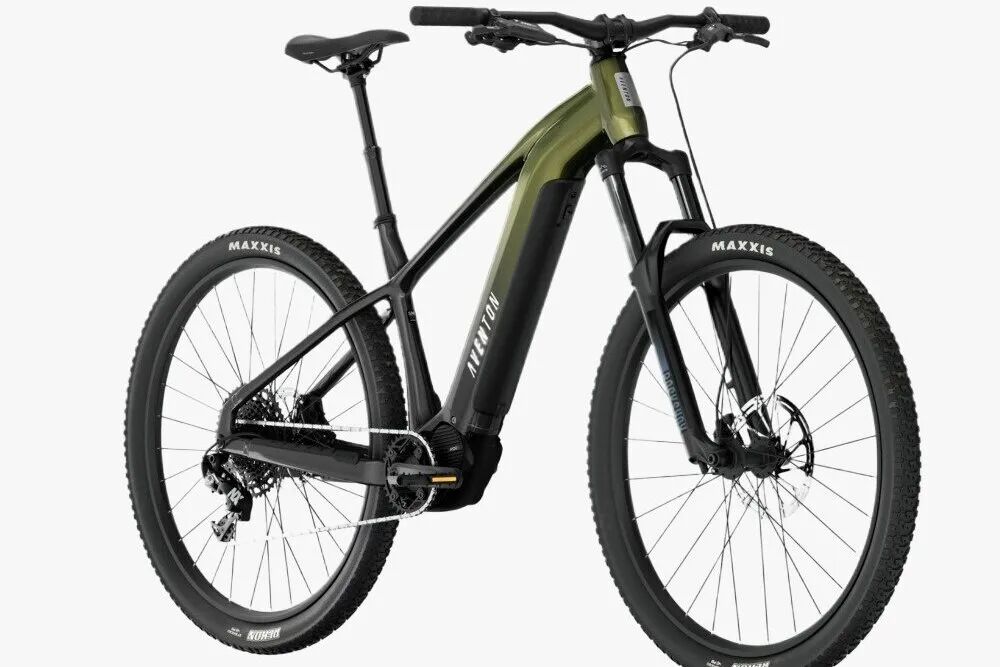 图片 年收破3亿,中国E-bike品牌拿下了北美中产