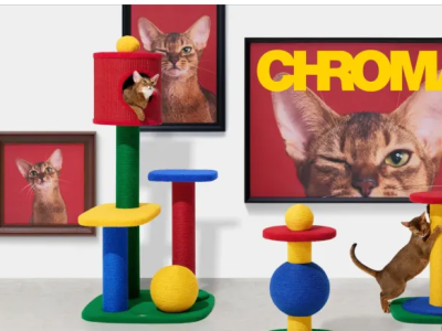 2年卖爆3000万美金！国产宠物品牌靠“拟人化设计”征服北美