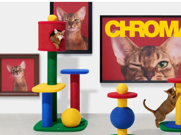 2年卖爆3000万美金！国产宠物品牌靠“拟人化设计”征服北美