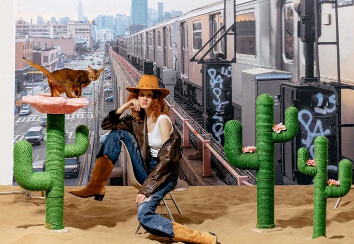 2年卖爆3000万美金！国产宠物品牌靠“拟人化设计”征服北美