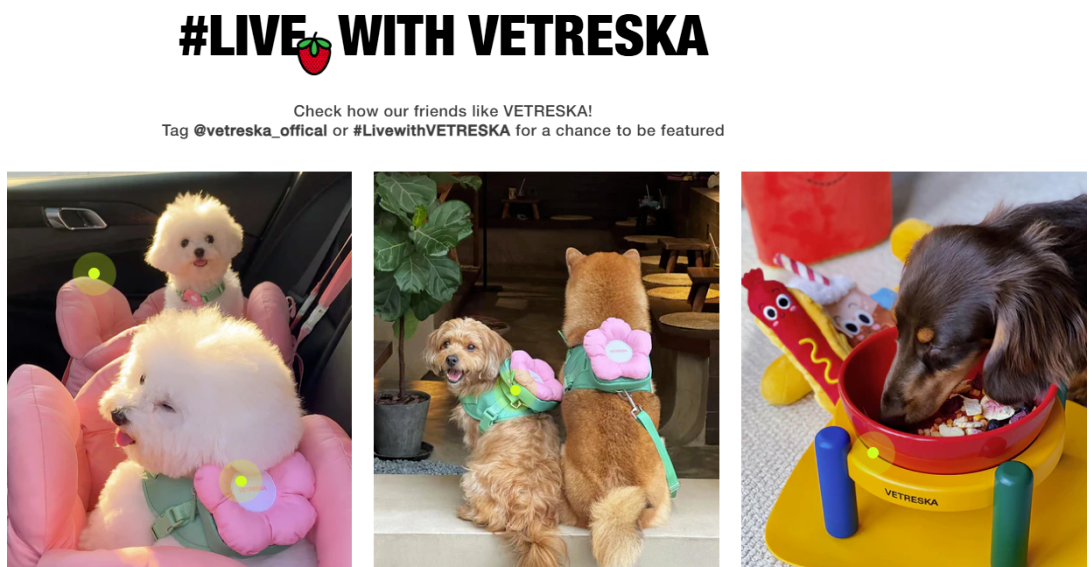 2年卖爆3000万美金！国产宠物品牌靠“拟人化设计”征服北美