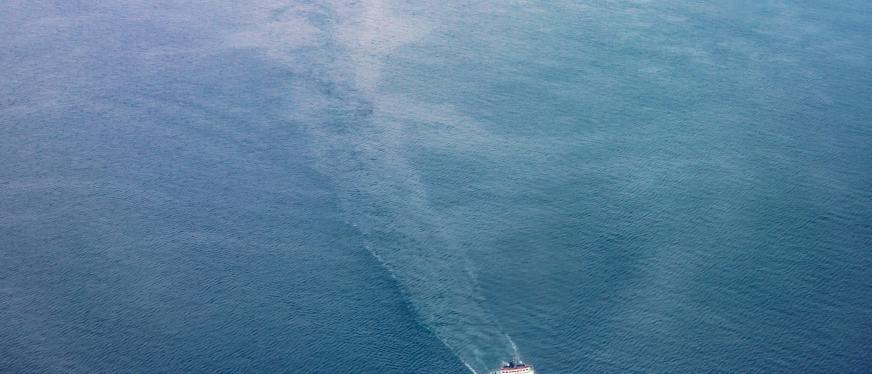 原电池价格暴涨335倍？11月进口消费品的冰火两重天