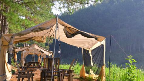 TikTok Shop品牌商标授权被拒？28类常见原因及解决方法全汇总