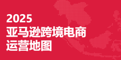 2025亚马逊跨境电商运营地图 