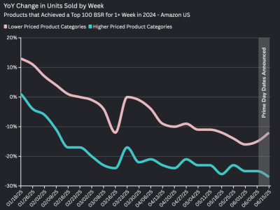 2025年Prime Day 临近，高价位品类热门产品销售额同比下降 27%