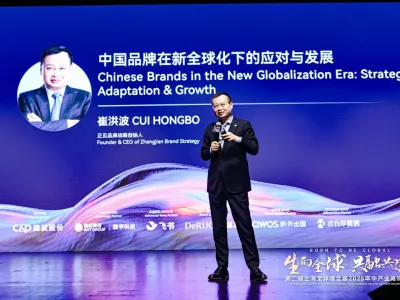 崔洪波：所有出海的中国公司，首要战略就是改变品牌