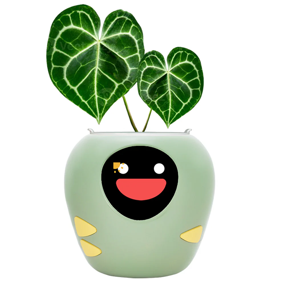 这些在小红薯热推的跨境商品，在海外真的卖得好？