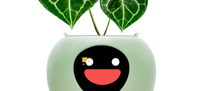 这些在小红薯热推的跨境商品,在海外真的卖得好?