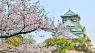 日本亚马逊8月潮玩榜：卡牌化与系列化成主流，IP收藏体系竞争加剧
