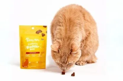 萌宠经济赛道洞察：高复购率与情感驱动的品类突围逻辑